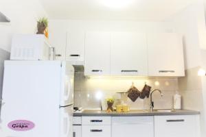 Kuchyň nebo kuchyňský kout v ubytování Apartment Gospa