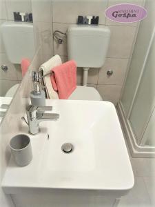 Koupelna v ubytování Apartment Gospa