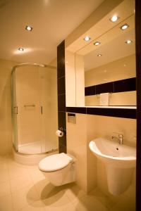 a bathroom with a toilet and a sink and a shower at Hotel Dodo in Biłgoraj