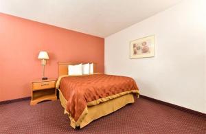 ein Hotelzimmer mit einem Bett und einem Nachttisch in der Unterkunft Travel Inn & Suite in Springerville