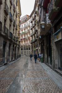 Afbeelding uit fotogalerij van Casco Viejo Comodidad y elegancia by Urban Hosts in Bilbao