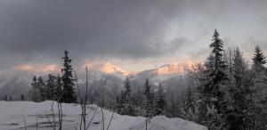 アイヨン・ル・ジュンヌにあるAux 2 Savoie Bの雪山群