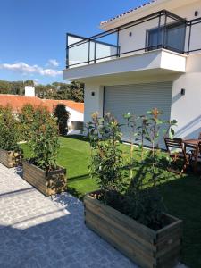 une maison avec trois plantes en pot devant elle dans l'établissement Appartement Centre ville Cassis, à Cassis