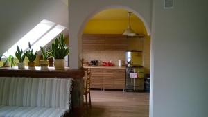 a kitchen with an archway and a table with plants at NOCLEGI U STASI in Cisna