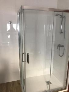 a shower with a glass door in a bathroom at Casa patio ribera de córdoba in Córdoba