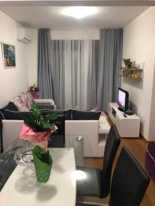 Afbeelding uit fotogalerij van Apartment Veselin in Budva