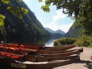 Foto dalla galleria di Ferienwohnung Andrea a Bad Mitterndorf