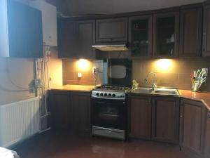 a kitchen with a stove and a sink at Gamsakhurdia Street in Borjomi