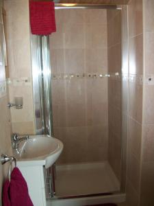 a bathroom with a shower and a sink at Seabreeze Junior Suite Renvyle in Renvyle