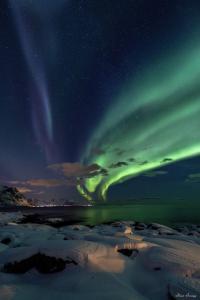 an aurora in the sky over a body of water at Rystad Lofoten Camping in Rystad
