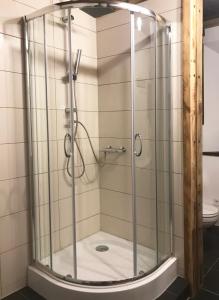 um chuveiro com uma caixa de vidro na casa de banho em Ferienwohnung PENZLIN im Rittergut Leppersdorf bei Dresden em Wachau