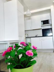 塔烏里托的住宿－apartmant Adrian Vista Taurito，厨房里装有粉红色花的绿盆