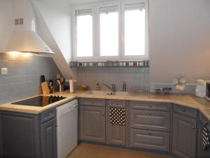 eine Küche mit grauen Schränken, einem Waschbecken und zwei Fenstern in der Unterkunft Le Clos Audy près de Chambord in Huisseau-sur-Cosson