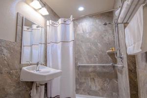 鄧內倫的住宿－The Gator Den，一间带水槽和淋浴的浴室
