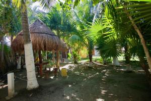 Fotografie z fotogalerie ubytování Golden Paradise Hostel v destinaci Ostrov Holbox