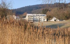 Paesaggio naturale nelle vicinanze dell'hotel