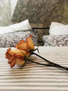 Apartmán U ZÁMECKÉ DYJE في ليدنيس: وردة ميتة جالسة فوق السرير