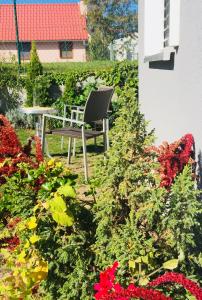 Zahrada ubytování Apartmán U ZÁMECKÉ DYJE
