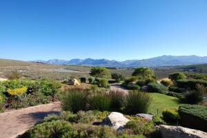 a garden in the desert with mountains in the background at Kingsbury Cottage in Breerivier