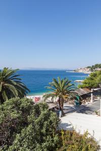 Blick auf einen Strand mit Palmen und das Meer in der Unterkunft Apartman Orange in Podgora + 10 Fotos
