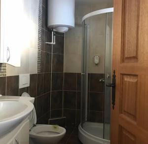 een badkamer met een douche, een toilet en een wastafel bij Villa Popara Kopaonik in Kopaonik