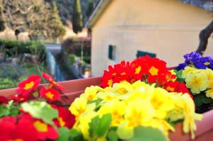 A garden outside Come a casa