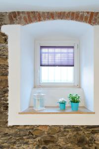 a window with two potted plants on a ledge at Il Giardino di Riomaggiore Suite in Riomaggiore