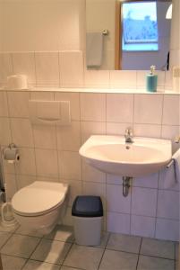a bathroom with a toilet and a sink at Pension Am Thieberg in Landolfshausen
