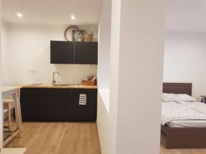 a kitchen with a sink and a bed in a room at Apartment Dubnica Prejta in Dubnica nad Váhom