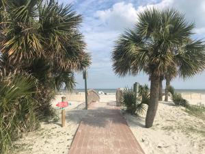 a path on the beach with two palm trees at Family Getaway - Boardwalk to the Beach, 3 pools, Tennis in Hilton Head Island