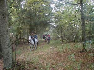 Hosté ubytování Reiterhof Wollesen