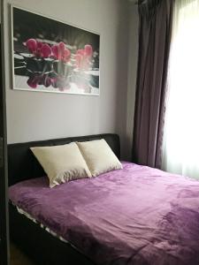 Postel nebo postele na pokoji v ubytování Apartment DR. Becher LUX 60 M2