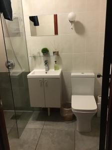 a bathroom with a toilet and a sink at The Old Inn in Gairloch