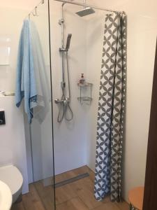 a shower with a glass door in a bathroom at Noclegi u Emilii in Sopot