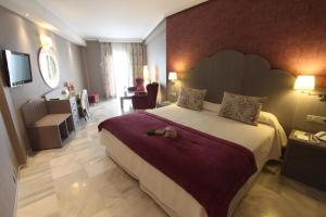a bedroom with a large bed in a hotel room at Hotel Balcón de Europa in Nerja