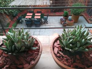 パラモスにあるCan Forasterのパティオ(テーブル、椅子付)に鉢植えの植物2本