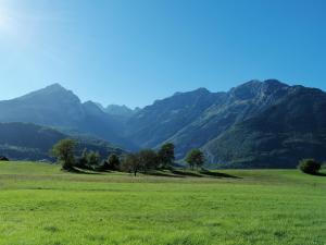 un campo verde con montañas al fondo en LE 4 STAGIONI, en Cavedago