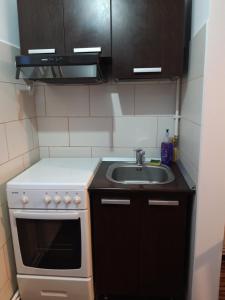 a small kitchen with a sink and a stove at Casa Stely in Râşnov +30 photos