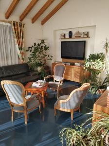 a living room with a couch and chairs and a television at Hotel Calisola in Chalezeule