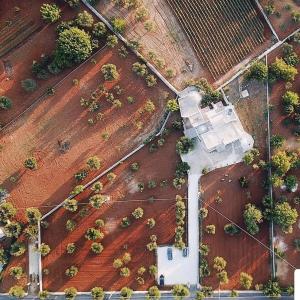 an overhead view of a farm with a building in a field at Pietra Pesara in Locorotondo