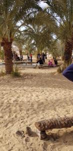 Gestir sem dvelja á Qasr El salam