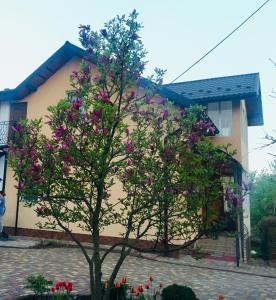 a tree in front of a house with purple flowers at Villa Yaryna in Truskavets