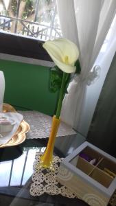 a yellow flower in a yellow vase on a table at B&B Betania in Riposto +16 photos