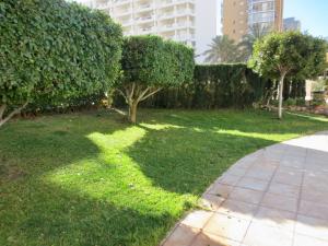 Ogród w obiekcie Clubrent - Apartamentos Apolo 17