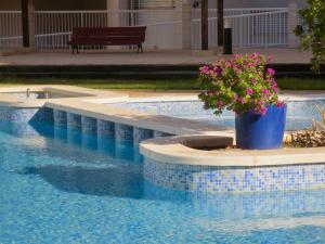 Basen w obiekcie Clubrent - Apartamentos Apolo 17 lub w pobliżu