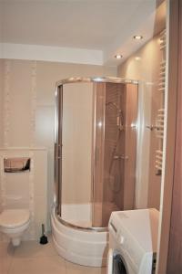 a bathroom with a shower and a toilet at Apartamenty Gabrysia 8 in Międzywodzie