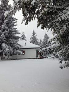 ein schneebedecktes Haus mit einem Baum in der Unterkunft Chalet dell'Orso in Pescasseroli