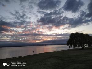 a tree on the shore of a body of water at 2 PAX DPTOS in Villa Rumipal