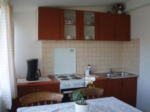 Kuchyň nebo kuchyňský kout v ubytování Guesthouse Tariba