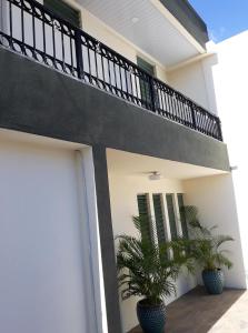 a house with two potted plants next to a garage at Hostal Libertad in Masaya